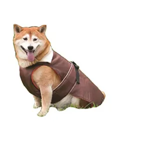 Outdoor Coat Brown SALE $5